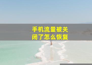 手机流量被关闭了怎么恢复