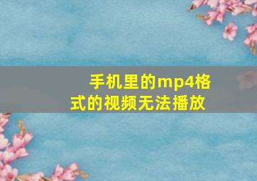 手机里的mp4格式的视频无法播放