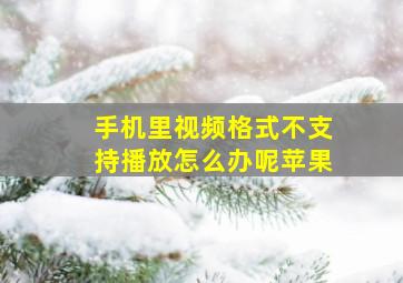 手机里视频格式不支持播放怎么办呢苹果