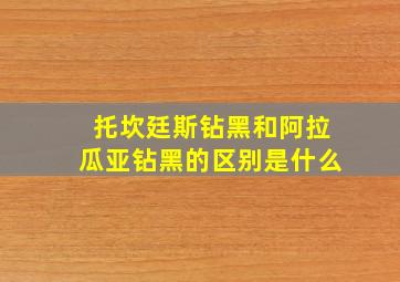 托坎廷斯钻黑和阿拉瓜亚钻黑的区别是什么