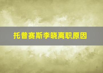 托普赛斯李晓离职原因