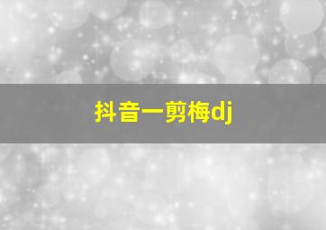 抖音一剪梅dj