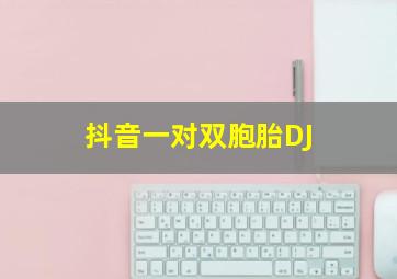 抖音一对双胞胎DJ