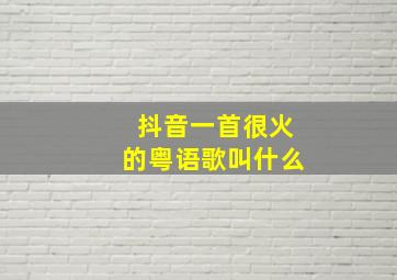 抖音一首很火的粤语歌叫什么