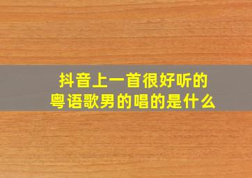 抖音上一首很好听的粤语歌男的唱的是什么