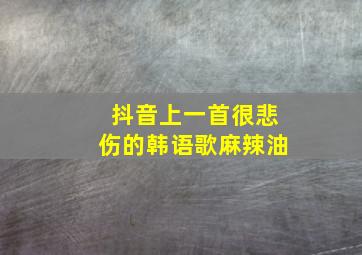 抖音上一首很悲伤的韩语歌麻辣油