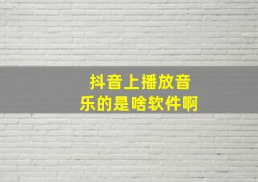 抖音上播放音乐的是啥软件啊