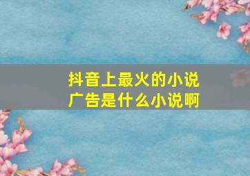 抖音上最火的小说广告是什么小说啊