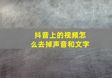 抖音上的视频怎么去掉声音和文字