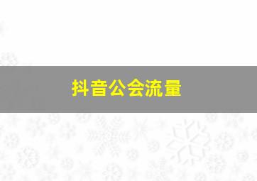 抖音公会流量