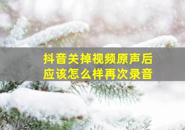 抖音关掉视频原声后应该怎么样再次录音