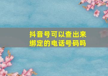 抖音号可以查出来绑定的电话号码吗