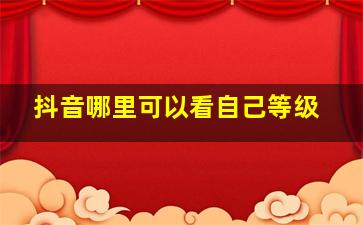 抖音哪里可以看自己等级