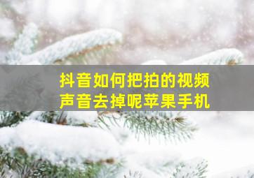 抖音如何把拍的视频声音去掉呢苹果手机