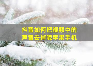 抖音如何把视频中的声音去掉呢苹果手机