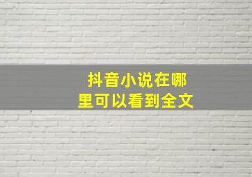 抖音小说在哪里可以看到全文