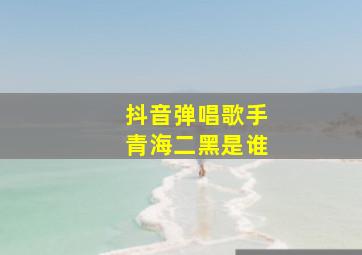 抖音弹唱歌手青海二黑是谁