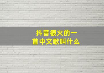 抖音很火的一首中文歌叫什么