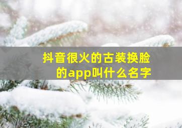 抖音很火的古装换脸的app叫什么名字