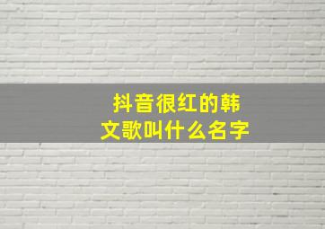 抖音很红的韩文歌叫什么名字