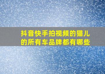 抖音快手拍视频的猫儿的所有车品牌都有哪些