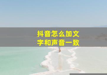 抖音怎么加文字和声音一致