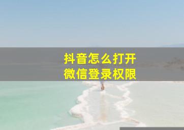 抖音怎么打开微信登录权限