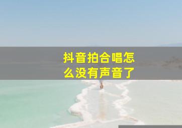 抖音拍合唱怎么没有声音了