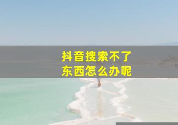 抖音搜索不了东西怎么办呢