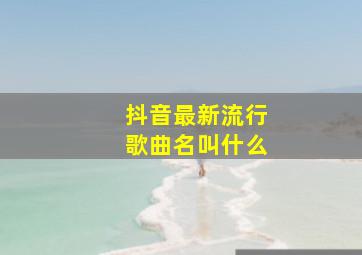 抖音最新流行歌曲名叫什么