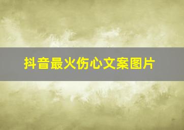 抖音最火伤心文案图片