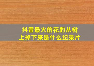 抖音最火的花豹从树上掉下来是什么纪录片