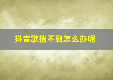 抖音歌搜不到怎么办呢