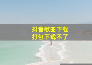 抖音歌曲下载打包下载不了