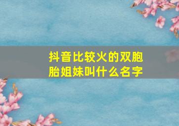 抖音比较火的双胞胎姐妹叫什么名字