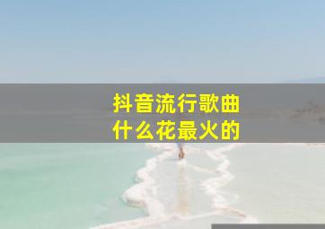 抖音流行歌曲什么花最火的