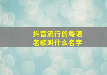 抖音流行的粤语老歌叫什么名字