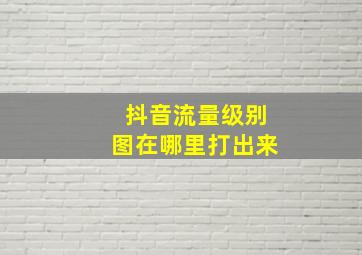 抖音流量级别图在哪里打出来