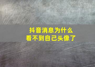 抖音消息为什么看不到自己头像了