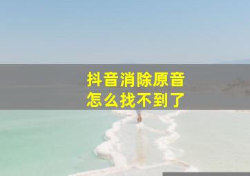 抖音消除原音怎么找不到了