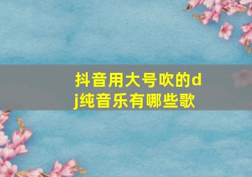 抖音用大号吹的dj纯音乐有哪些歌