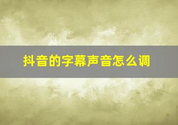 抖音的字幕声音怎么调