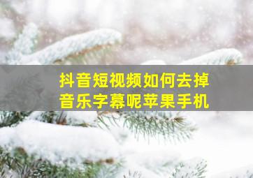 抖音短视频如何去掉音乐字幕呢苹果手机