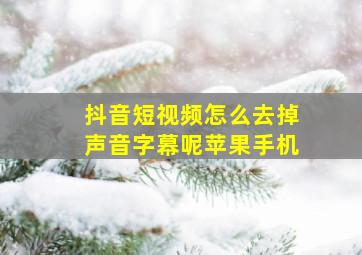 抖音短视频怎么去掉声音字幕呢苹果手机