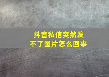 抖音私信突然发不了图片怎么回事