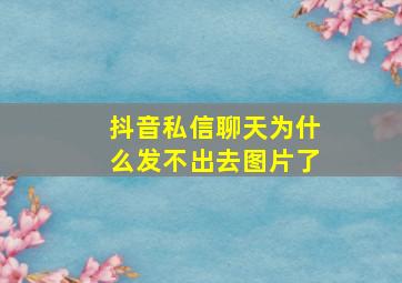 抖音私信聊天为什么发不出去图片了