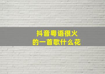 抖音粤语很火的一首歌什么花