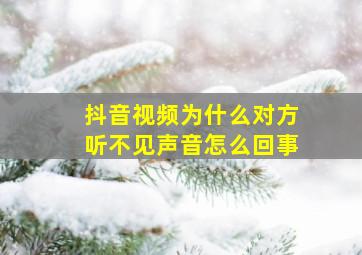 抖音视频为什么对方听不见声音怎么回事