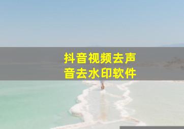 抖音视频去声音去水印软件