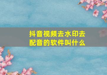 抖音视频去水印去配音的软件叫什么